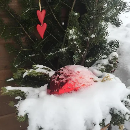 公寓 Kircher 上迈塞尔施泰因